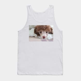 Toy Poodle Puppy Tank Top